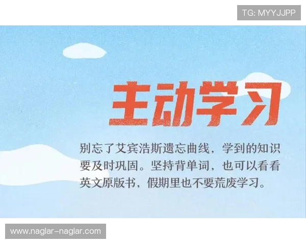 必赢的行动指南:每日坚持的小习惯带来巨大胜利