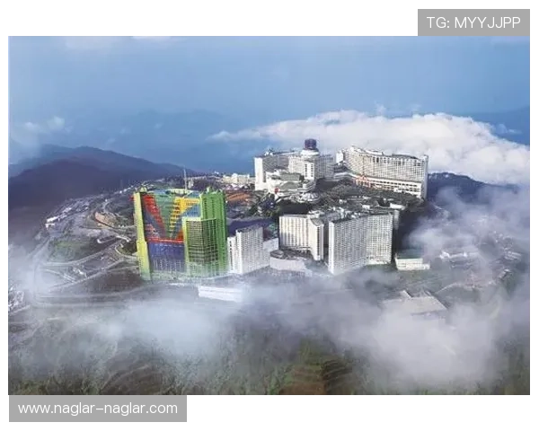 全讯网娱乐场如何选择最适合自己的线上娱乐平台指南 全讯网娱乐场如何选择最适合自己的线上娱乐平台指南